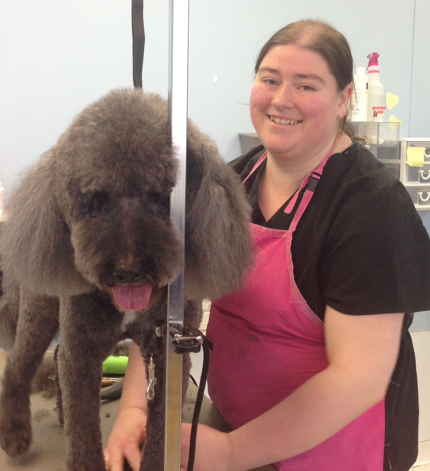 The Pampered Puppy - International Award Winning - Staff and Groomers